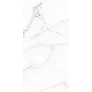Керамогранит Naxos Rhapsody white beauty lev ret 117432 120х60 см