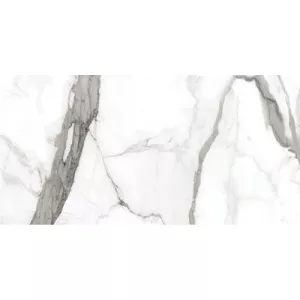 Керамическая плитка Kerlife Arabescato Bianco белый 31.5*63 см
