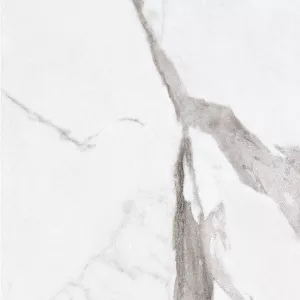 Керамогранит Ariana Ceramica Epoque White Statuario lap PF60004977 60х60 см