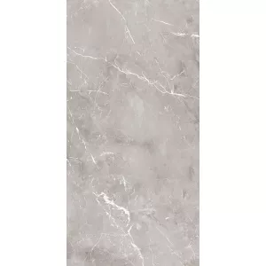 Керамогранит Ariana Ceramica Epoque Grey lap PF60004301 120х60 см