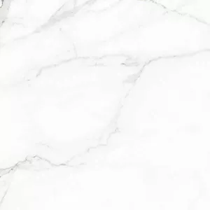 Керамогранит Naxos Rhapsody White Beauty nat ret 120359 60х60 см